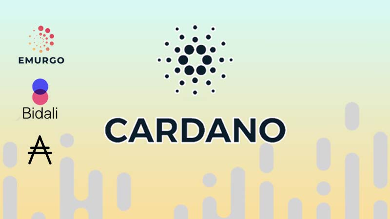 Cardano network